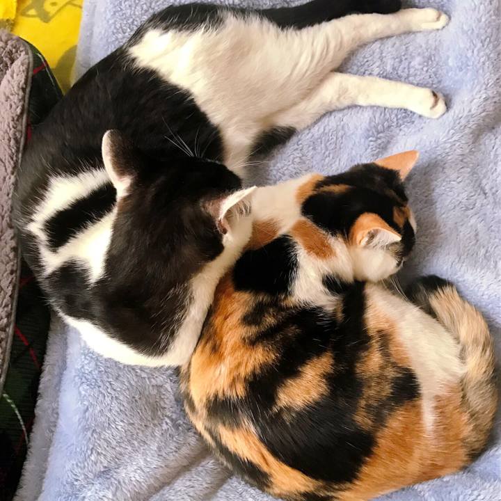 Ff35cae3 e8af 44f3 975a 1bb988de916b