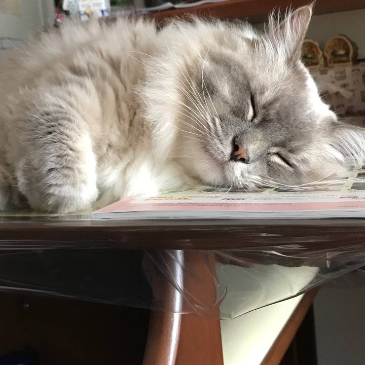 Ff35f7c2 46fd 4116 b9f7 a8d8b4d622ff