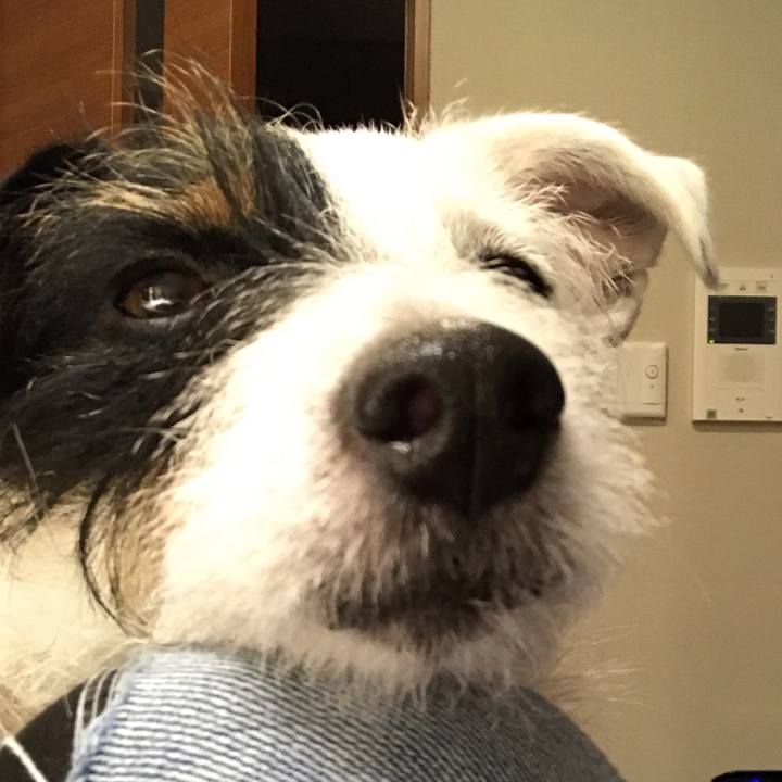 Ff3613b2 b72b 465a ba6e c361ebfcd1df