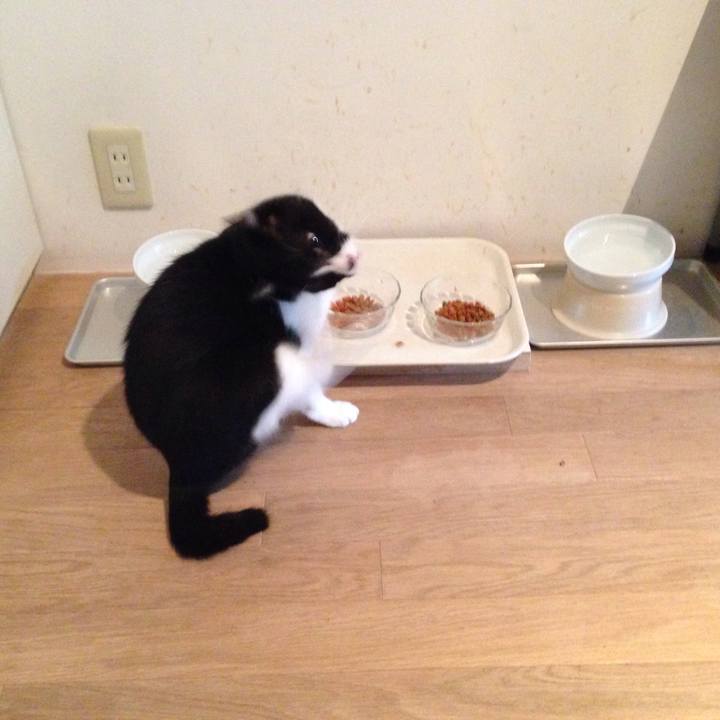 Ff36b910 cc37 4a0e b1ec b241893567ec