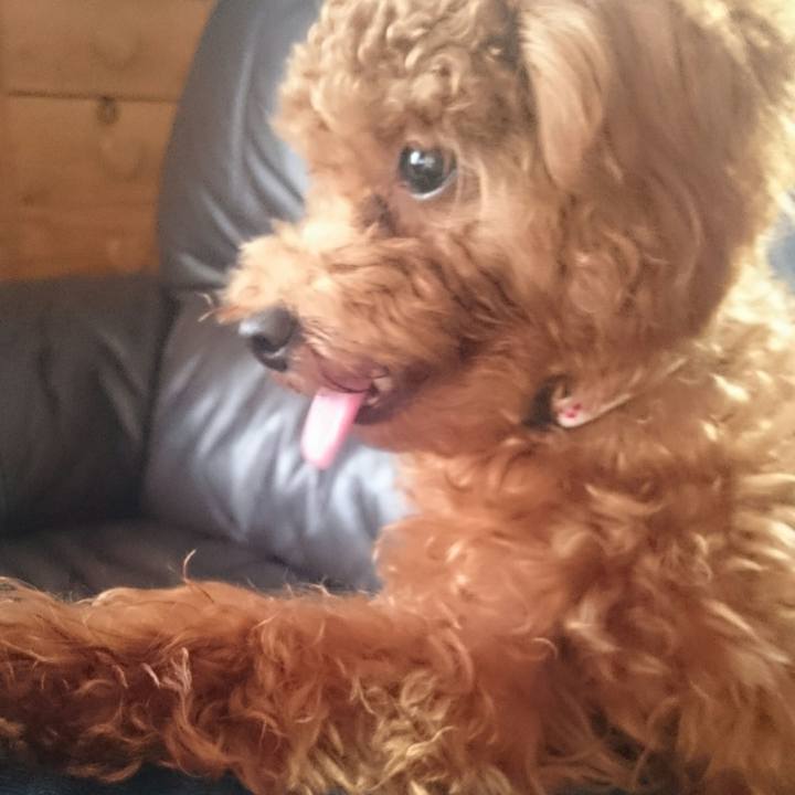 Ff36c637 3488 4350 9c1b 1afcf7e1fdc4