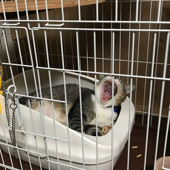 Ff36e775 4e15 4e1e bf14 7d2f8577412b