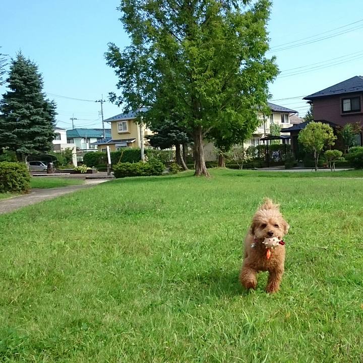 Ff370fd2 7b84 4169 8049 4d144c931ff5