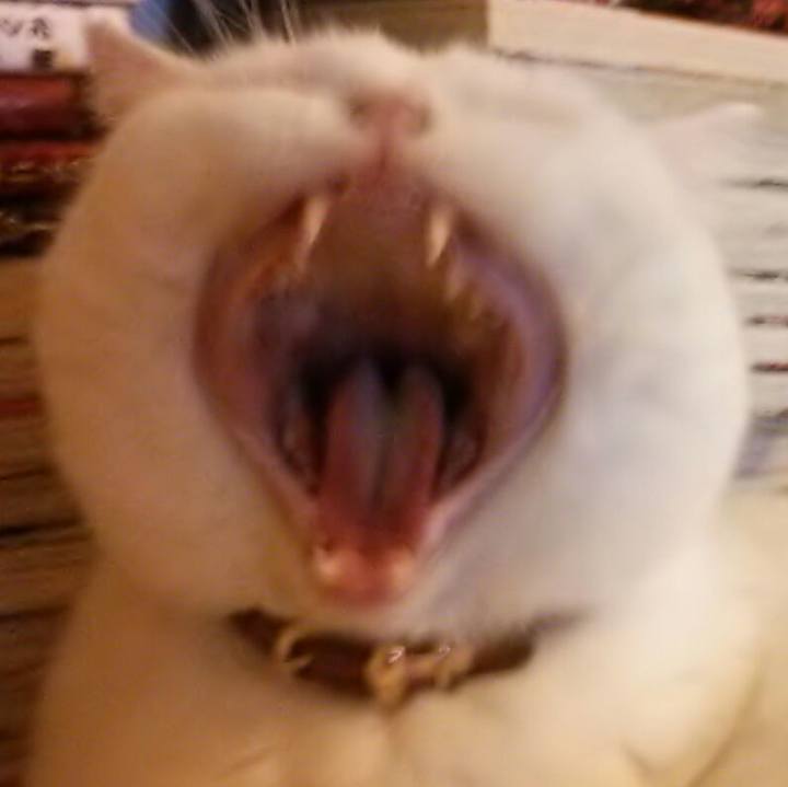 Ff3749bd a6ed 454a 8b79 36dbed7360f3