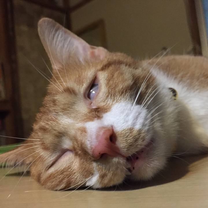 Ff37587c 5a87 49a8 af3a bc0cff2d864b