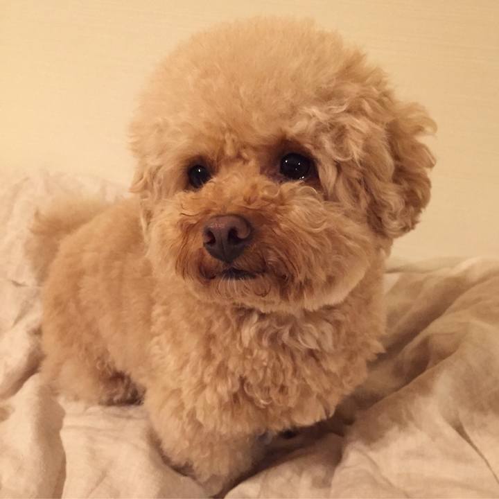 Ff377bac 915b 4c70 a682 42fdd65f24b3