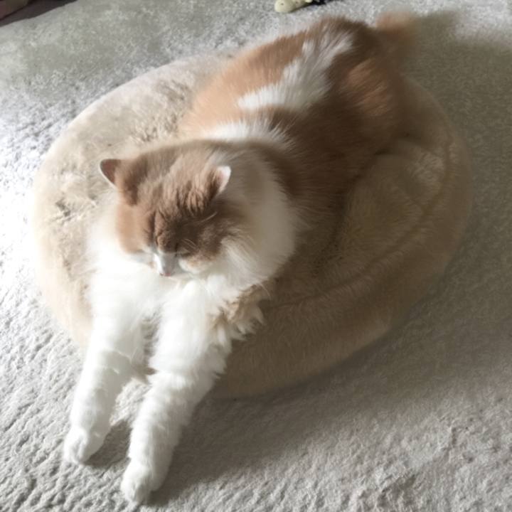 Ff3848ca 2bb3 4fdf b35f f7dc656a8562