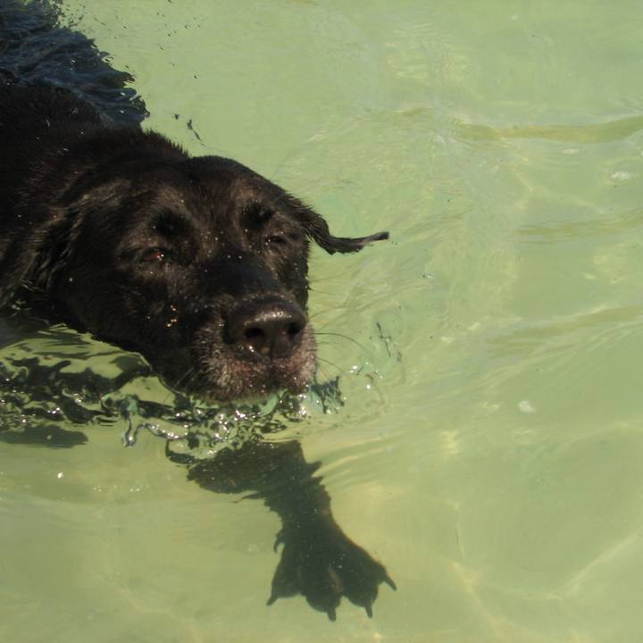 Ff38717a efff 4d46 8db0 2ee5a3d210c7