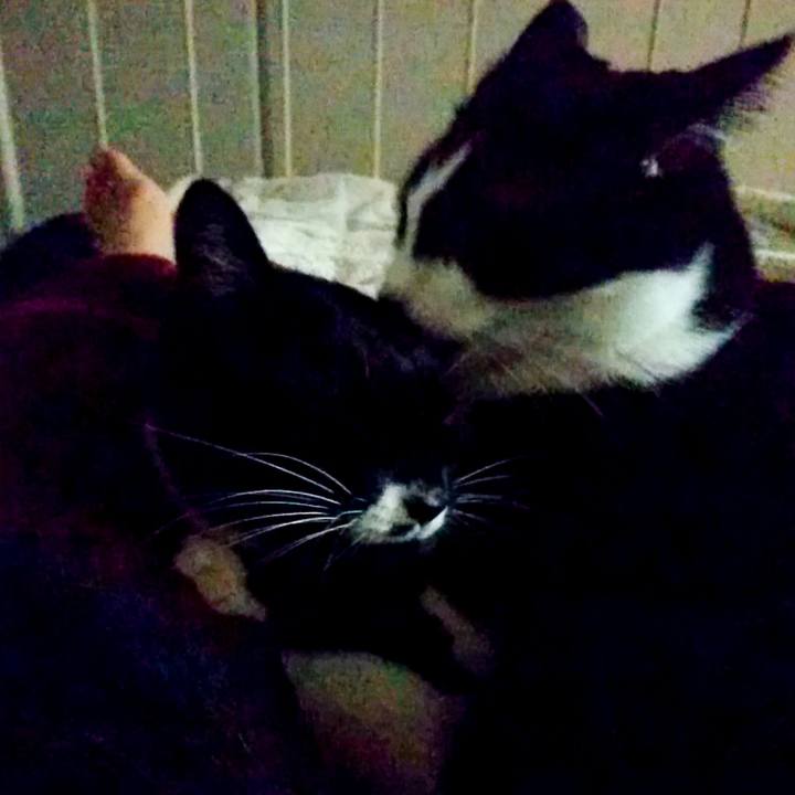 Ff399fe9 fa00 437e 844e 0b3fc399e4b1