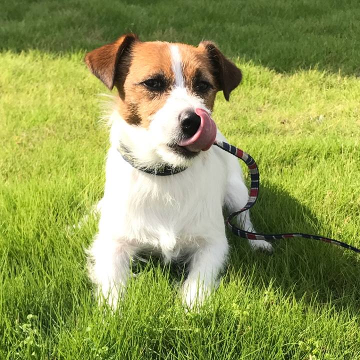 Ff39b30a 35b5 4c0a 9d35 f28fe21712b8