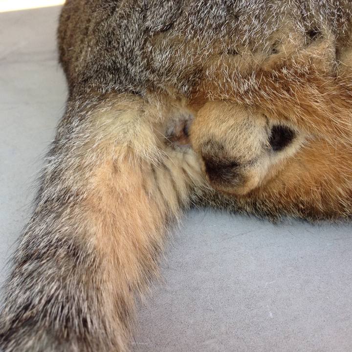 Ff3ae973 ea6b 4ecd a01c d7f2da2cf58e