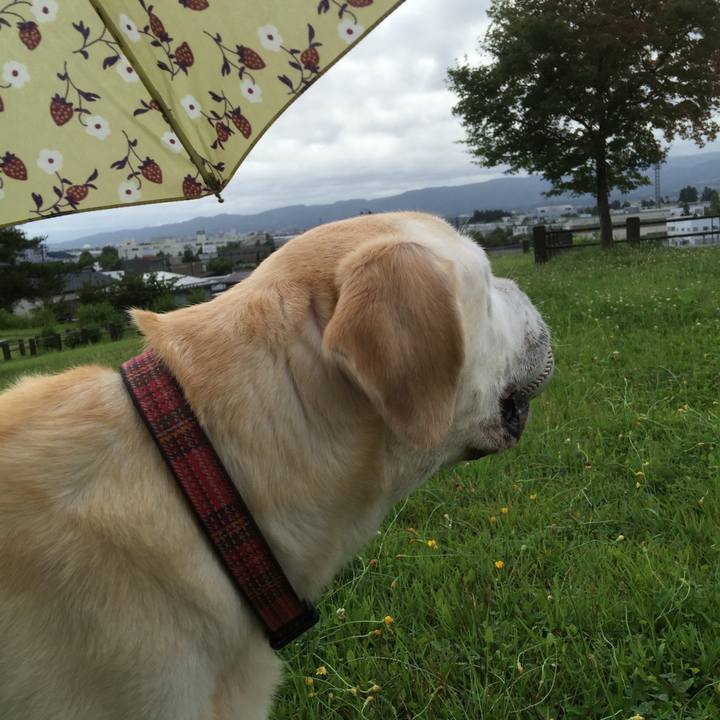 Ff3afec4 3cad 42b8 85b6 95e55539ebcf