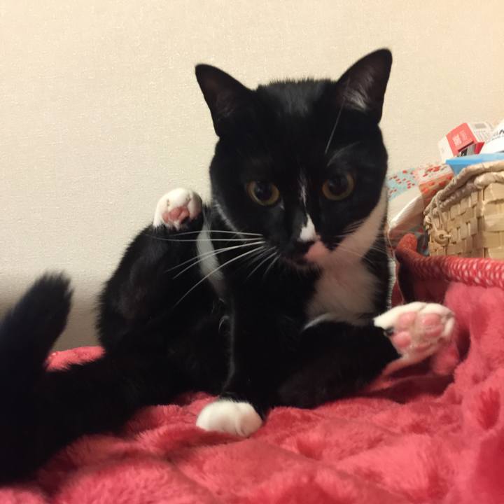 Ff3b5eaa b202 46c0 83c6 8ee83ed60f63