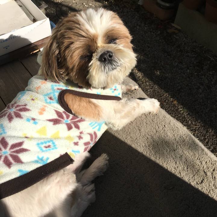 Ff3c6fda 63e5 4d8b a23e 28fef8addcc2