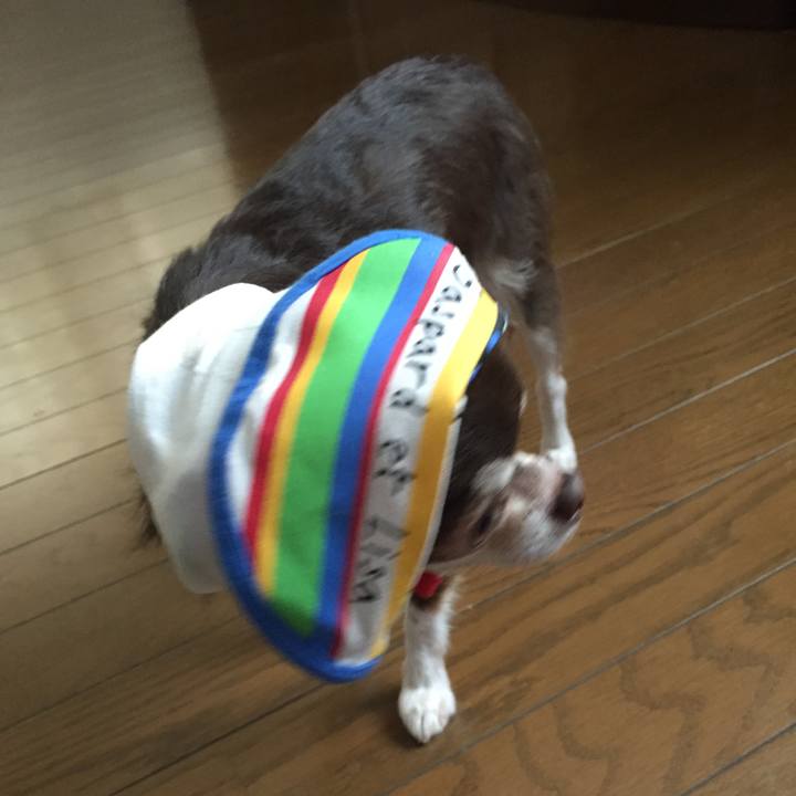 Ff3da096 6311 439b b7df 95e865e79aff