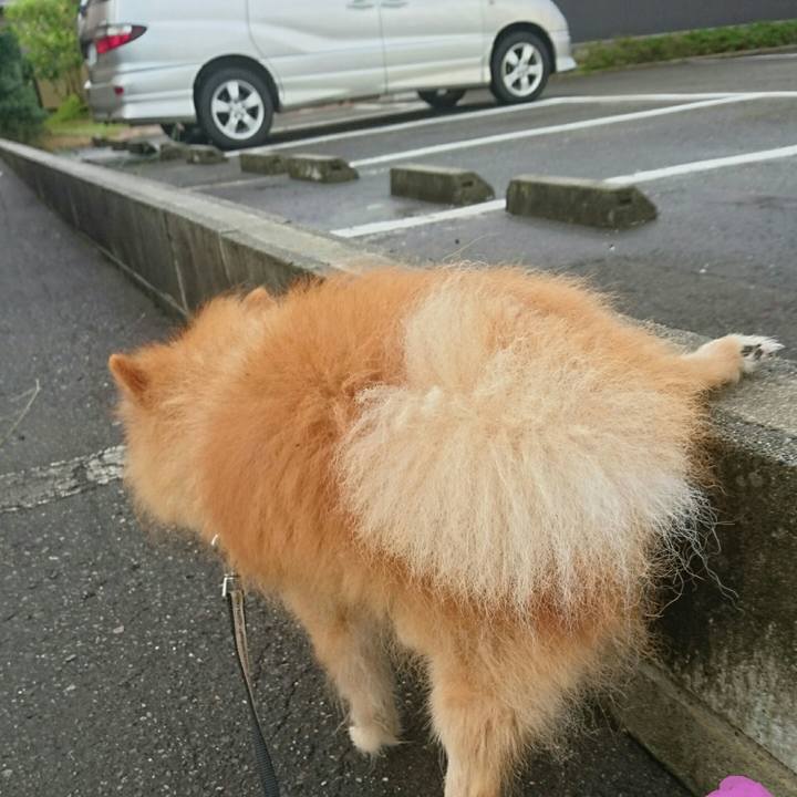 Ff3ec510 e369 497e 896d 01eebfeec0c8