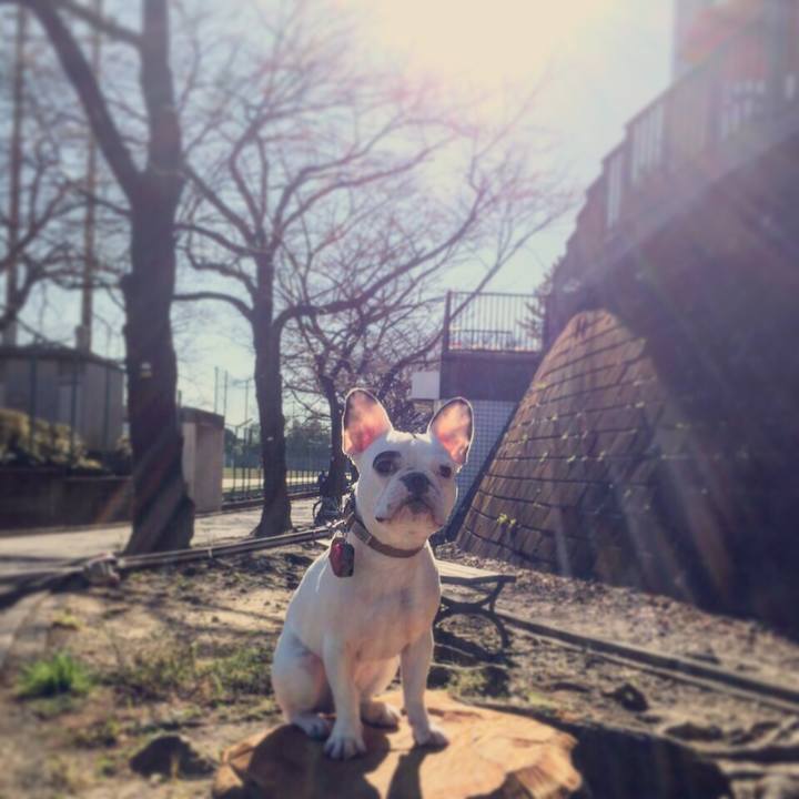 Ff3f1fee cb5b 4bf2 9178 3924f875e448