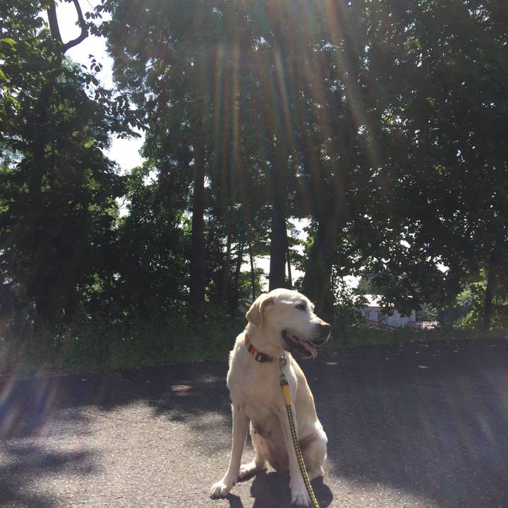 Ff3f2003 eced 4c18 8674 d510af5483a9