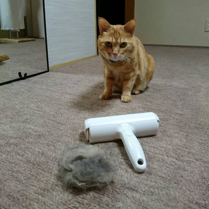 Ff3f30a9 5219 4428 8564 557bc8ad95b2