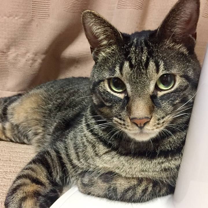 Ff3f90cd ea52 48f5 8274 bc7847345db3