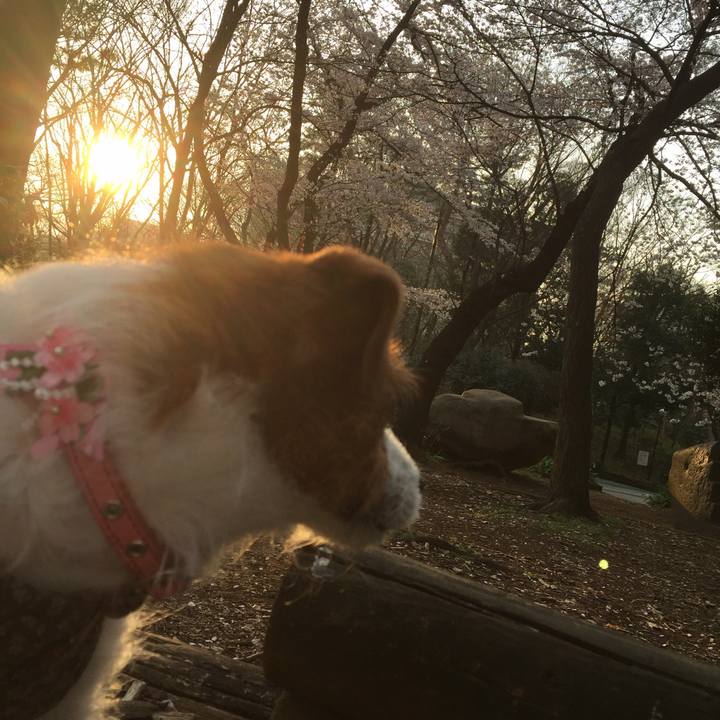 Ff403fac de64 4fe4 97cb a090ba2634cf