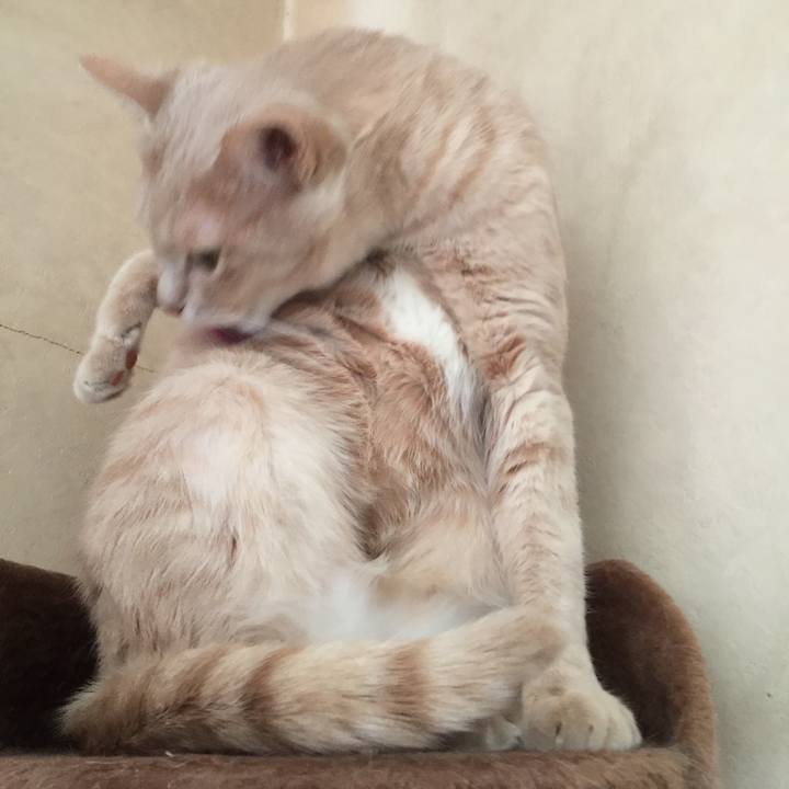 Ff40ab58 0f9d 4ab5 b018 72b5d6ac86c3