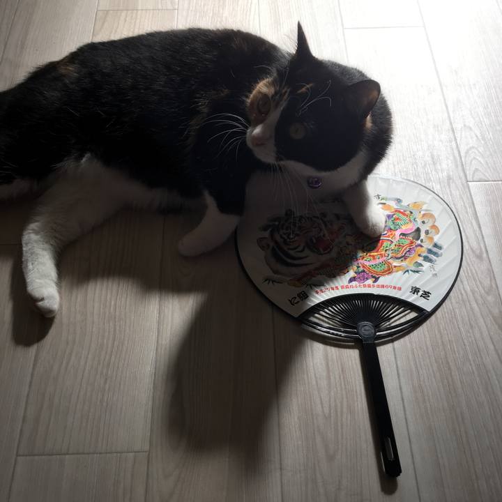 Ff41c218 fc94 451e 9f2f 9c233364e698