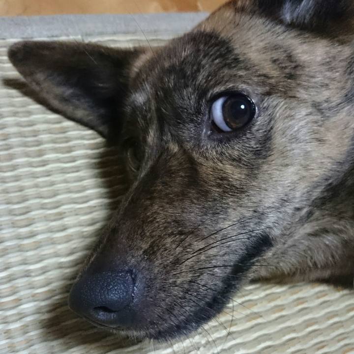 Ff41d854 f40e 40c2 8697 bd73ab3a05d9