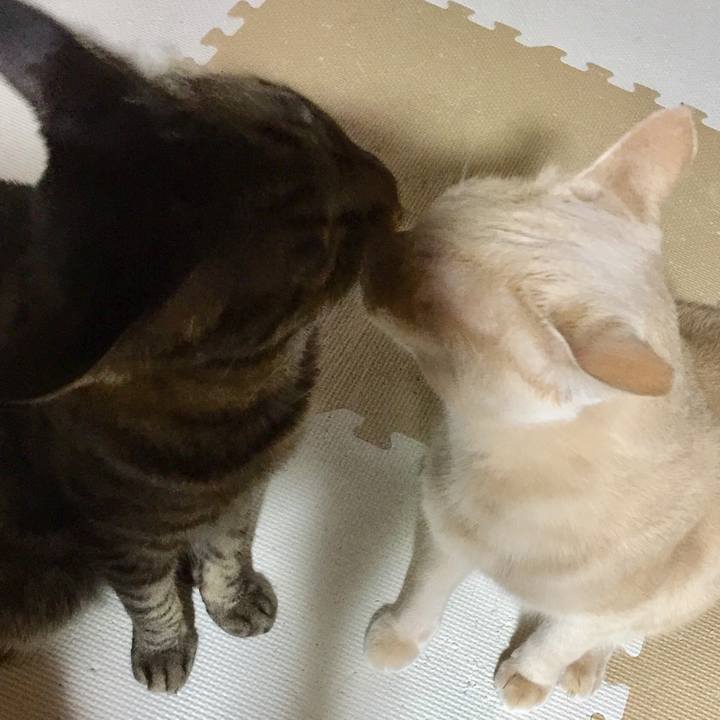 Ff428136 1e96 4321 aea7 b1ce002bc9e3