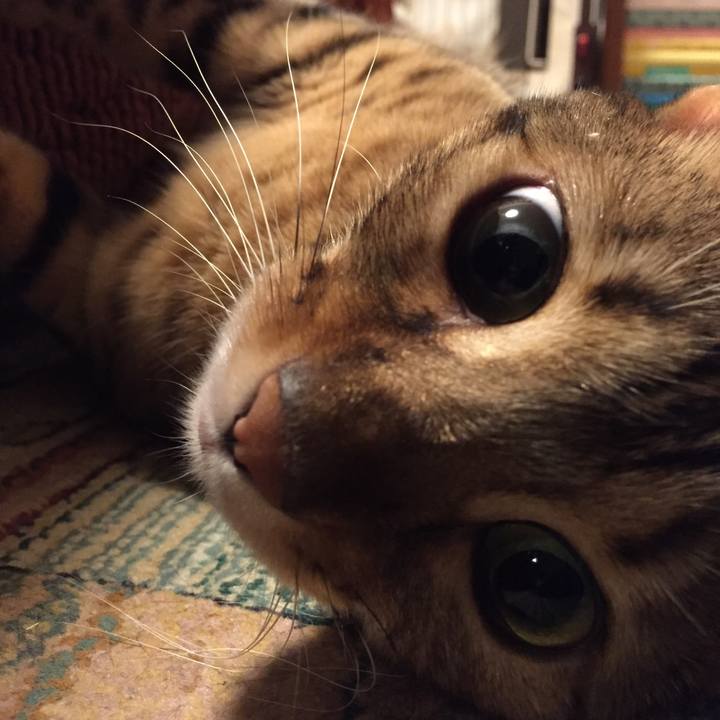 Ff428eb6 257a 4926 b0cb 66be37331aa3