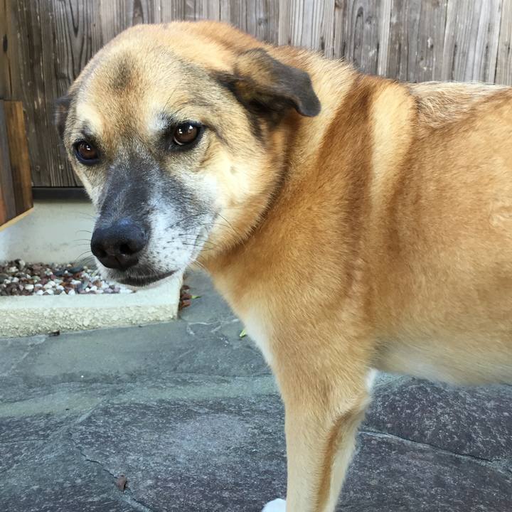 Ff42995f 7306 4e0b aec2 9885975121a8