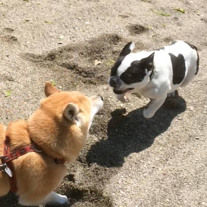 Ff4351d9 65e8 4b6a 809c 39f0f72fb13b