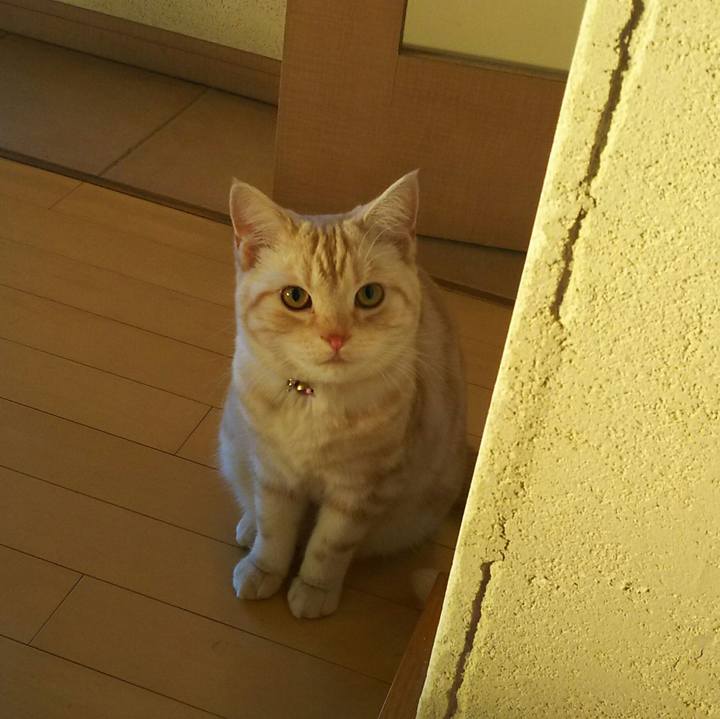 Ff43ce16 f85d 4c5b 8975 d6f963ed4023