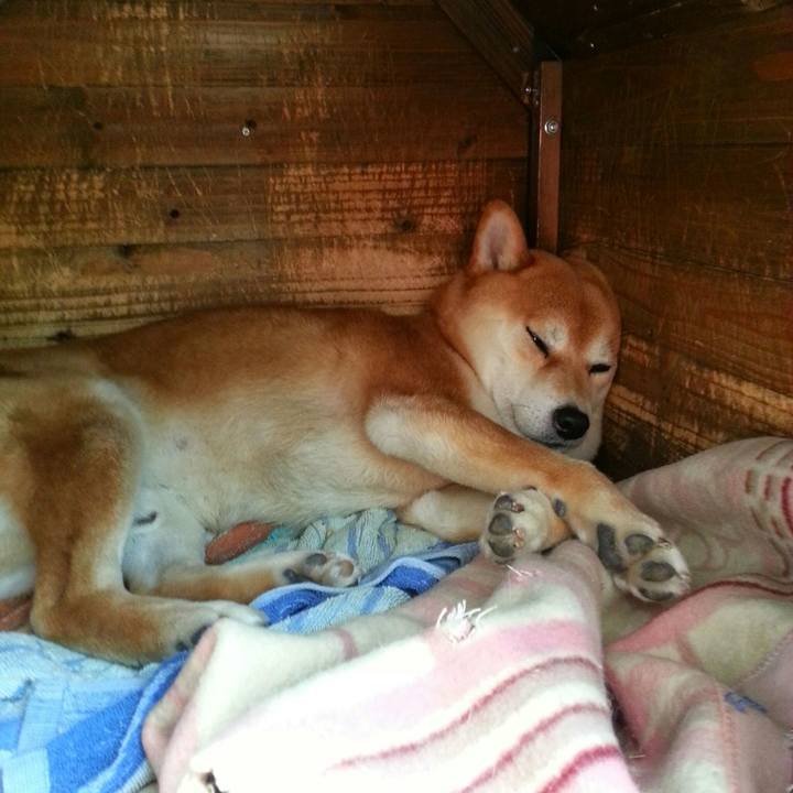 Ff43f17f fd2f 4d58 91f6 ccb822580b49