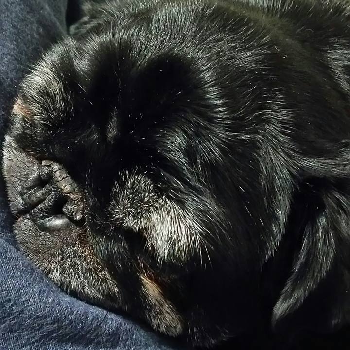 Ff44211f 06eb 4af4 bcf8 76986e347c67