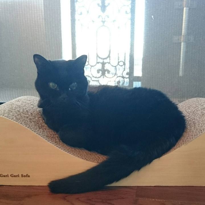 Ff44e948 0ad1 415f a671 61ed3fe240d6