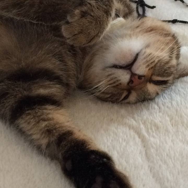 Ff44f2c0 609a 405d 8ffa 861f042d75d1