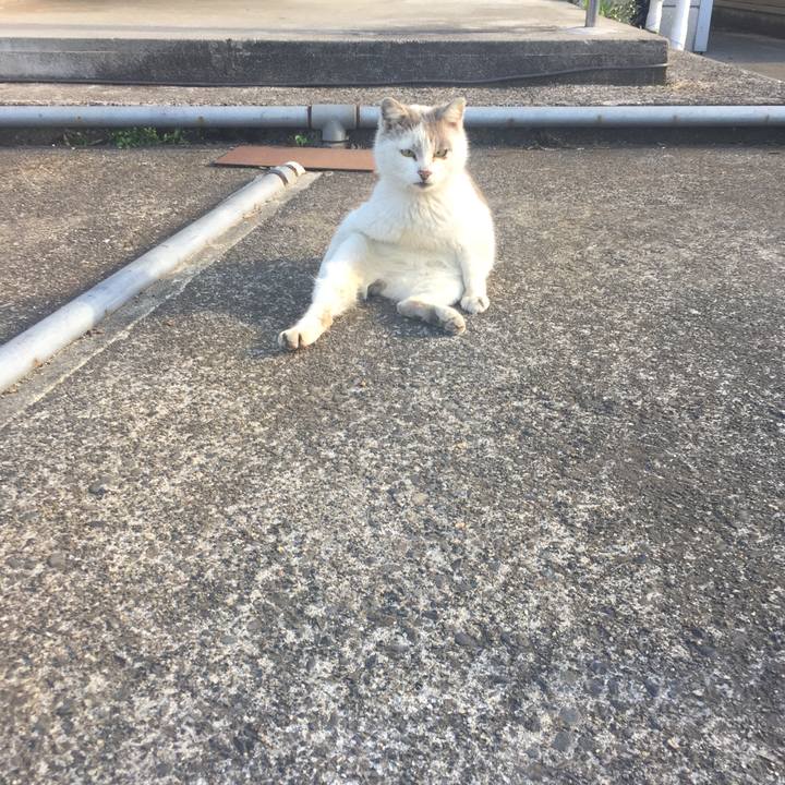 Ff4507a5 7890 40ce bad2 29d9fb85adc1