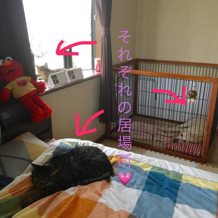 Ff45599d 6a78 4e35 bfe9 6f74cd13c111