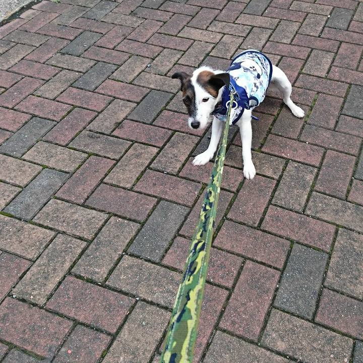 Ff46d97d 2018 4e5c bd29 1a67b25a217e