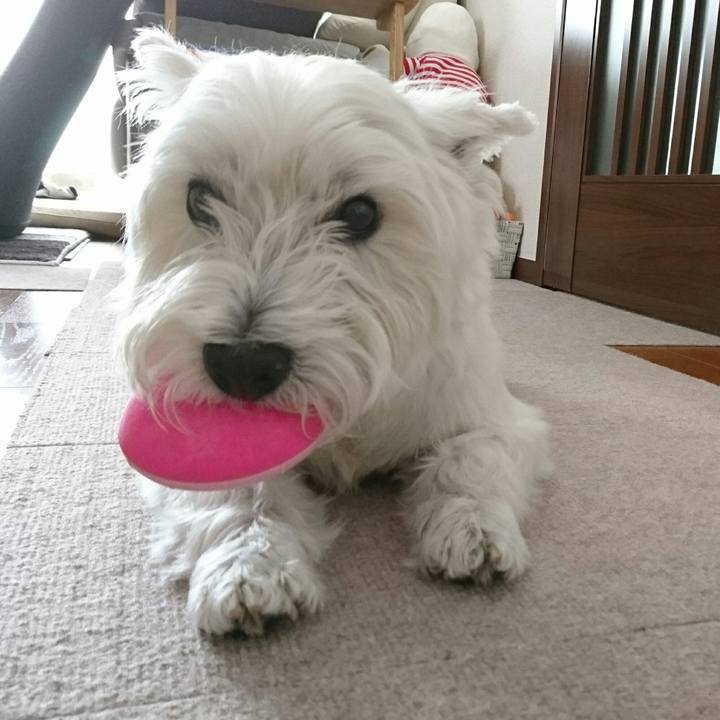 Ff46fa34 9cb8 4aa4 8fcb dd448f836613