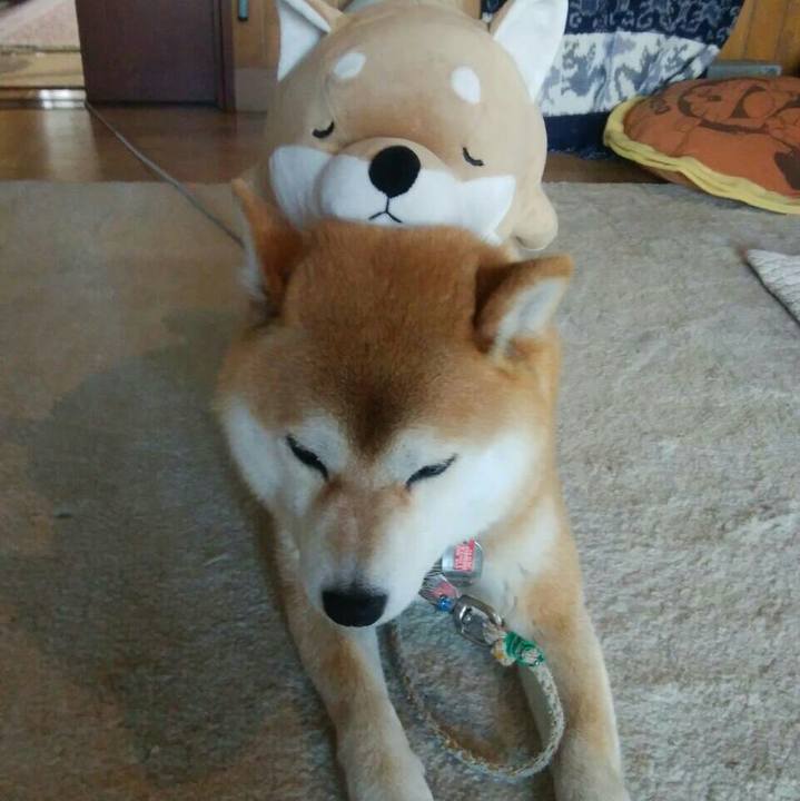 Ff471b5f 84f0 4372 a33f e8e9e1b21d28