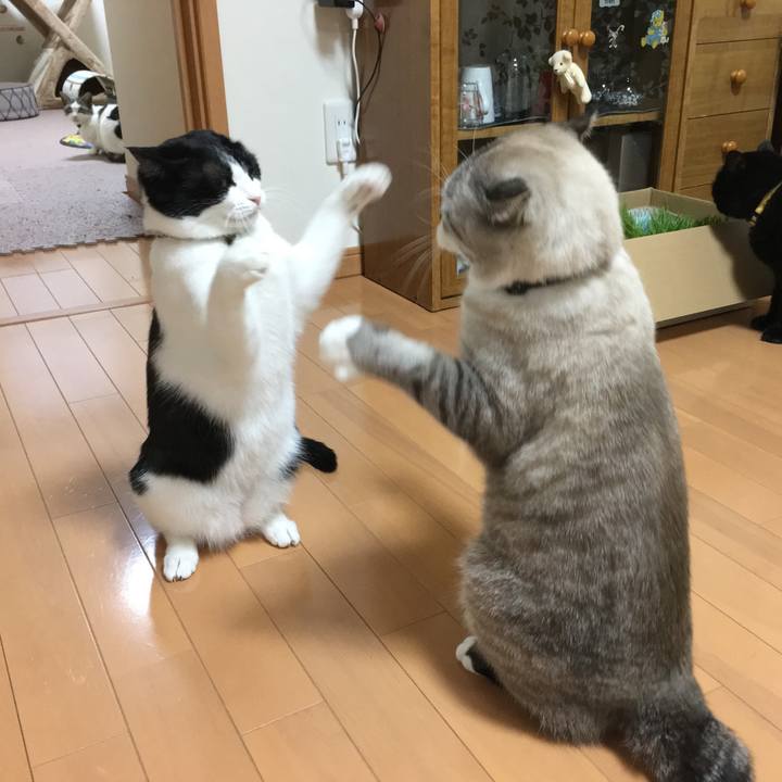 Ff4758b4 b977 483e b8c2 433ef9b04be8