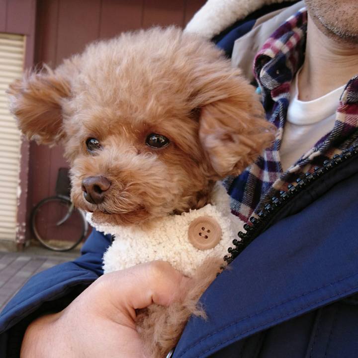 Ff4788da 8a6f 4d59 b554 b863df3c16a6