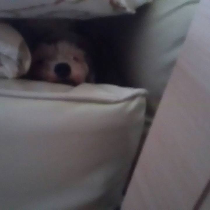 Ff47a705 520a 420d 9f2b 7bf884a68672