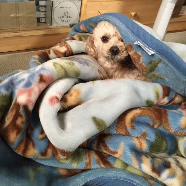 Ff480737 4352 41fc b4ea 9ac6096027a8