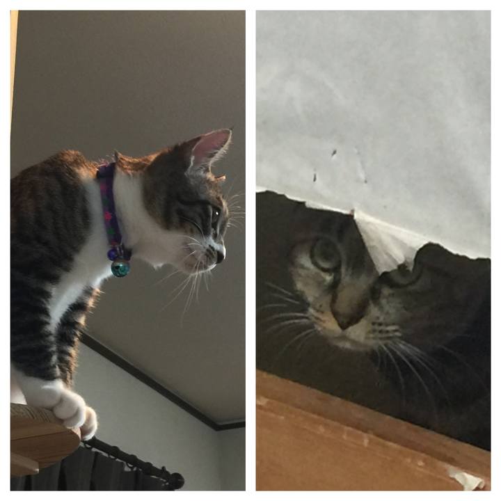 Ff48ab16 09d4 4532 8dd8 bdbd117c7dae