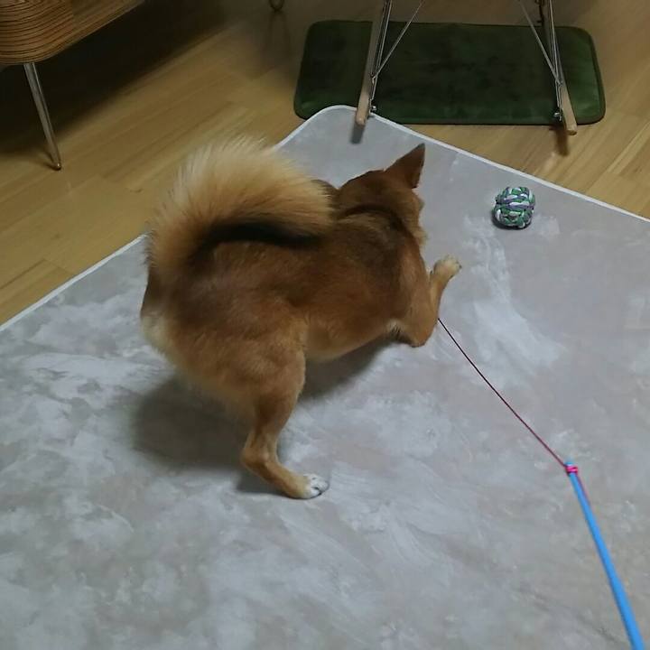 Ff48b1c1 0a7f 4704 8dd8 8b8a93d438ea