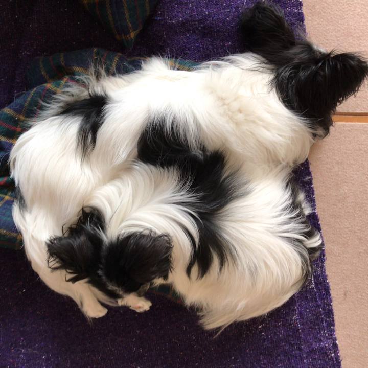 Ff49ed06 c5f6 4013 86c7 e7c87521c738