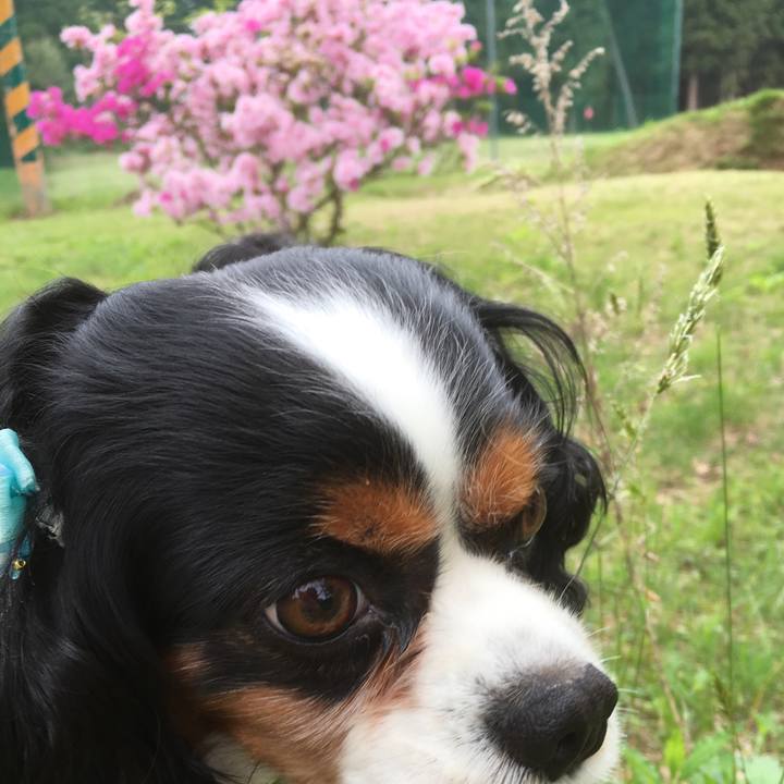 Ff4acb23 ae14 4de4 997a 7694848efb46